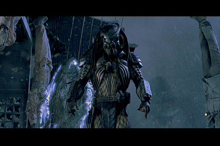 Predator Vs Alien